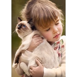 Castorland (B-52943) - "Pure Love" - 500 pièces