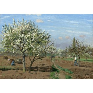 Grafika (02028) - Camille Pissarro: "Verger en Fleurs, Louveciennes, 1872" - 1000 pièces