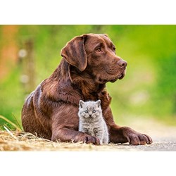 Castorland (B-13326) - "Big and Little" - 120 pièces