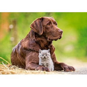 Castorland (B-13326) - "Big and Little" - 120 pièces