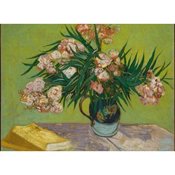 Grafika Kids (00438) - Vincent van Gogh: "Lauriers Roses,1888" - 300 pièces