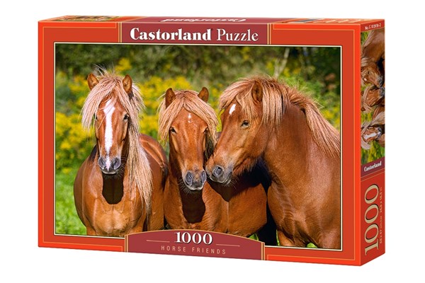 Castorland (C-103959) - "Horse Friends" - 1000 pièces