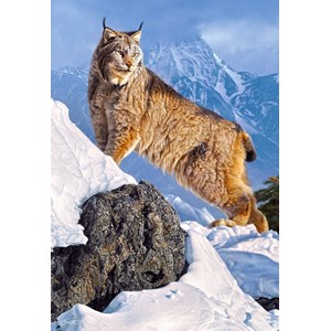 Castorland (C-103560) - "Lynx" - 1000 pièces
