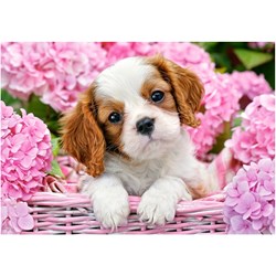 Castorland (B-52233) - "Pup in Pink Flowers" - 500 pièces