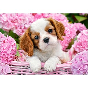 Castorland (B-52233) - "Pup in Pink Flowers" - 500 pièces