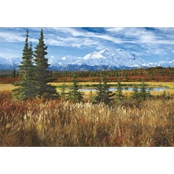 Educa (16008) - Rodney Lough Jr.: "Denali National Park" - 1500 pièces