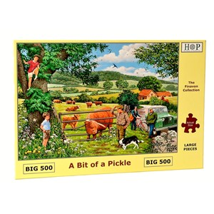 The House of Puzzles (4319) - "A Bit Of A Pickle" - 500 pièces