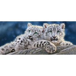 Castorland (B-060115) - "Snow Leopard Cubs" - 600 pièces
