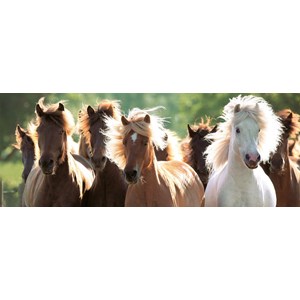 Ravensburger (15091) - "Chevaux sauvages" - 1000 pièces