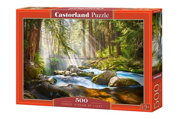Castorland (B-52875) - "Forest Stream of Light" - 500 pièces