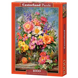 Castorland (C-103904) - "June Flowers in Radiance" - 1000 pièces
