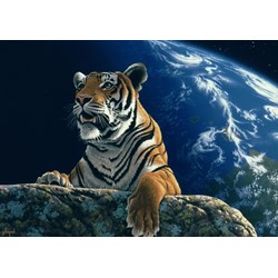 Grafika (T-00432) - Schim Schimmel, William Schimmel: "Only One Home" - 2000 pièces