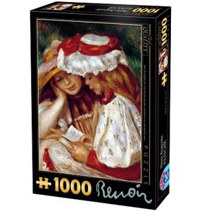 D-Toys (66909-RE08X) - Pierre-Auguste Renoir: "Deux jeunes filles lisant" - 1000 pièces