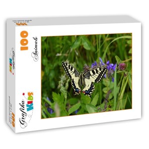 Grafika Kids (01222) - "Papillon" - 100 pièces