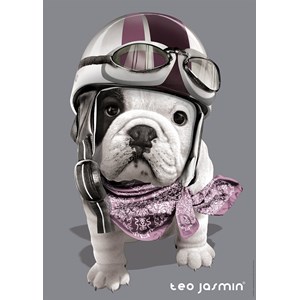 Nathan (87551) - "Teo" - 1000 pièces