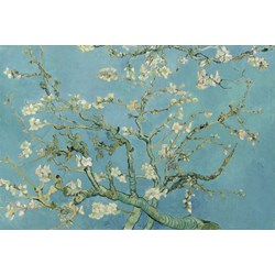 Grafika Kids (00042) - Vincent van Gogh: "Amandier en Fleurs, 1890" - 100 pièces
