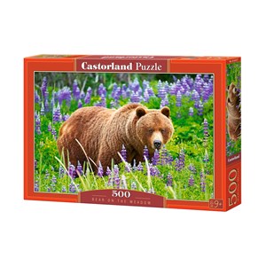 Castorland (B-52677) - "Bear on the Meadow" - 500 pièces