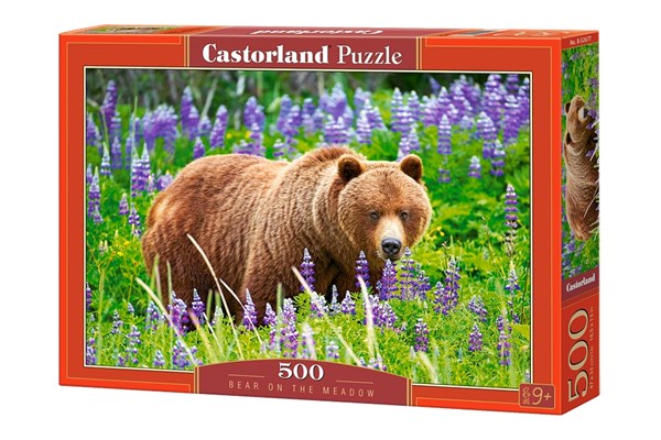 Castorland (B-52677) - "Bear on the Meadow" - 500 pièces