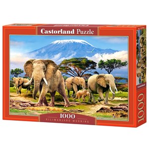 Castorland (C-103188) - "Kilimanjaro Morning" - 1000 pièces