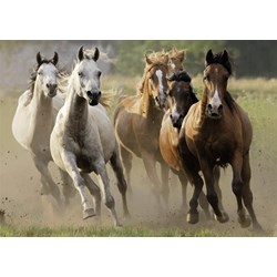 Nathan (87561) - "Herd of Wild Horses" - 1000 pièces