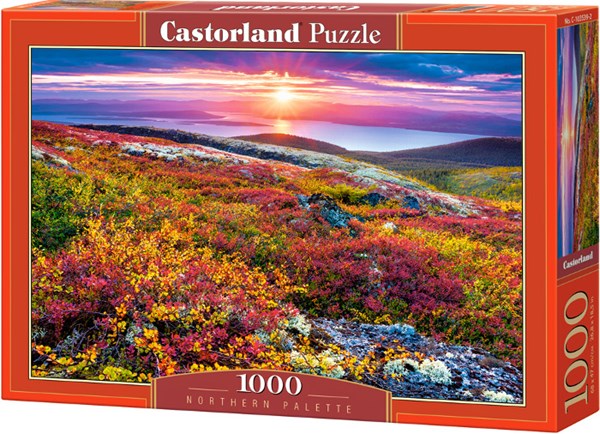 Castorland (C-103539) - "Northern Palette" - 1000 pièces