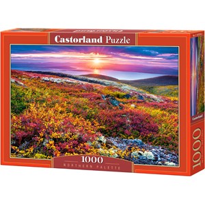 Castorland (C-103539) - "Northern Palette" - 1000 pièces