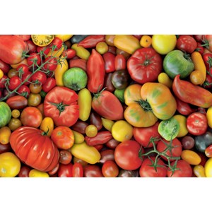 Piatnik (536946) - "Tomates en tous genres!" - 1000 pièces