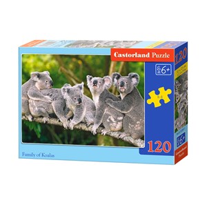 Castorland (B-13289) - "Koalas" - 120 pièces