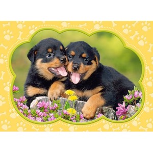 Castorland (B-035205) - "Little Rottweilers" - 35 pièces