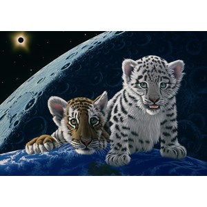 Grafika (02405) - Schim Schimmel: "Total Eclipse" - 1000 pièces