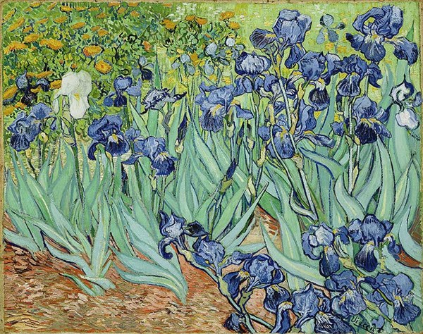 Piatnik (5331) - Vincent van Gogh: "Iris" - 1000 pièces