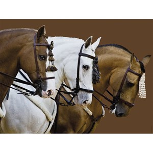 Ravensburger (16339) - "Fortune's Dream" - 1500 pièces