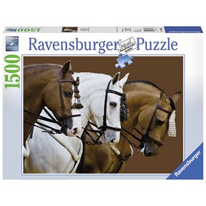 Ravensburger (16339) - "Fortune's Dream" - 1500 pièces