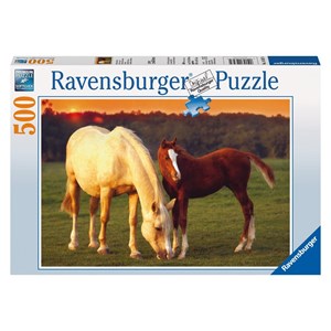 Ravensburger (14347) - "Beautiful Horses" - 500 pièces