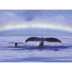 Ravensburger (14664) - "Peaceful Moment" - 500 pièces