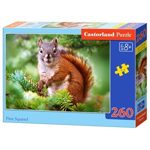 Castorland (B-27422) - "Pine Squirrel" - 260 pièces