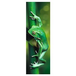 Trefl (75007) - "Little Frog" - 300 pièces