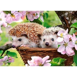 Castorland (B-13319) - "Springtime" - 120 pièces