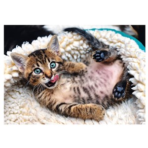 Trefl (10448) - "Chaton" - 1000 pièces