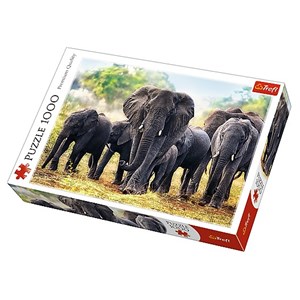 Trefl (10442) - "African Elephants" - 1000 pièces