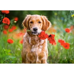 Castorland (B-018284) - "Flowers For You" - 180 pièces