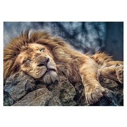 Trefl (10447) - "Sleeping Lion" - 1000 pièces