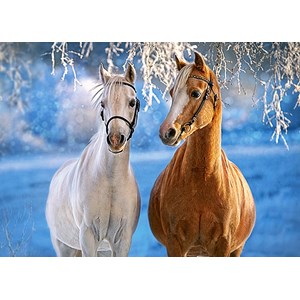 Castorland (B-27378) - "The Winter Horses" - 260 pièces