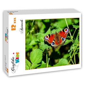 Grafika Kids (01230) - "Papillon" - 12 pièces