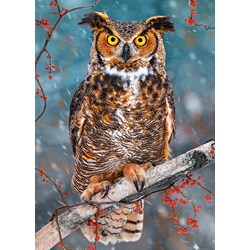 Castorland (B-27347) - "Great Horned Owl" - 260 pièces