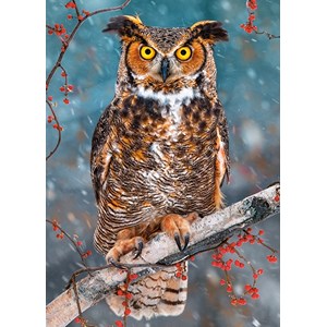 Castorland (B-27347) - "Great Horned Owl" - 260 pièces
