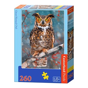 Castorland (B-27347) - "Great Horned Owl" - 260 pièces