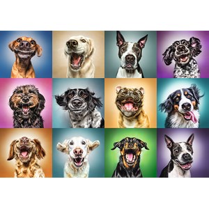 Trefl (10462) - "Funny Dog Portraits" - 1000 pièces