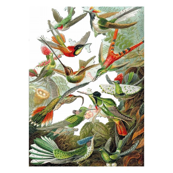 Puzzle Michele Wilson (A539-500) - Ernst Haeckel: "Les Colibris" - 500 pièces