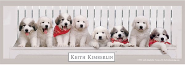 Anatolian (PER3139) - Keith Kimberlin: "Benchwarmers" - 1000 pièces